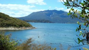 A 6-Day North Island, New Zealand Itinerary