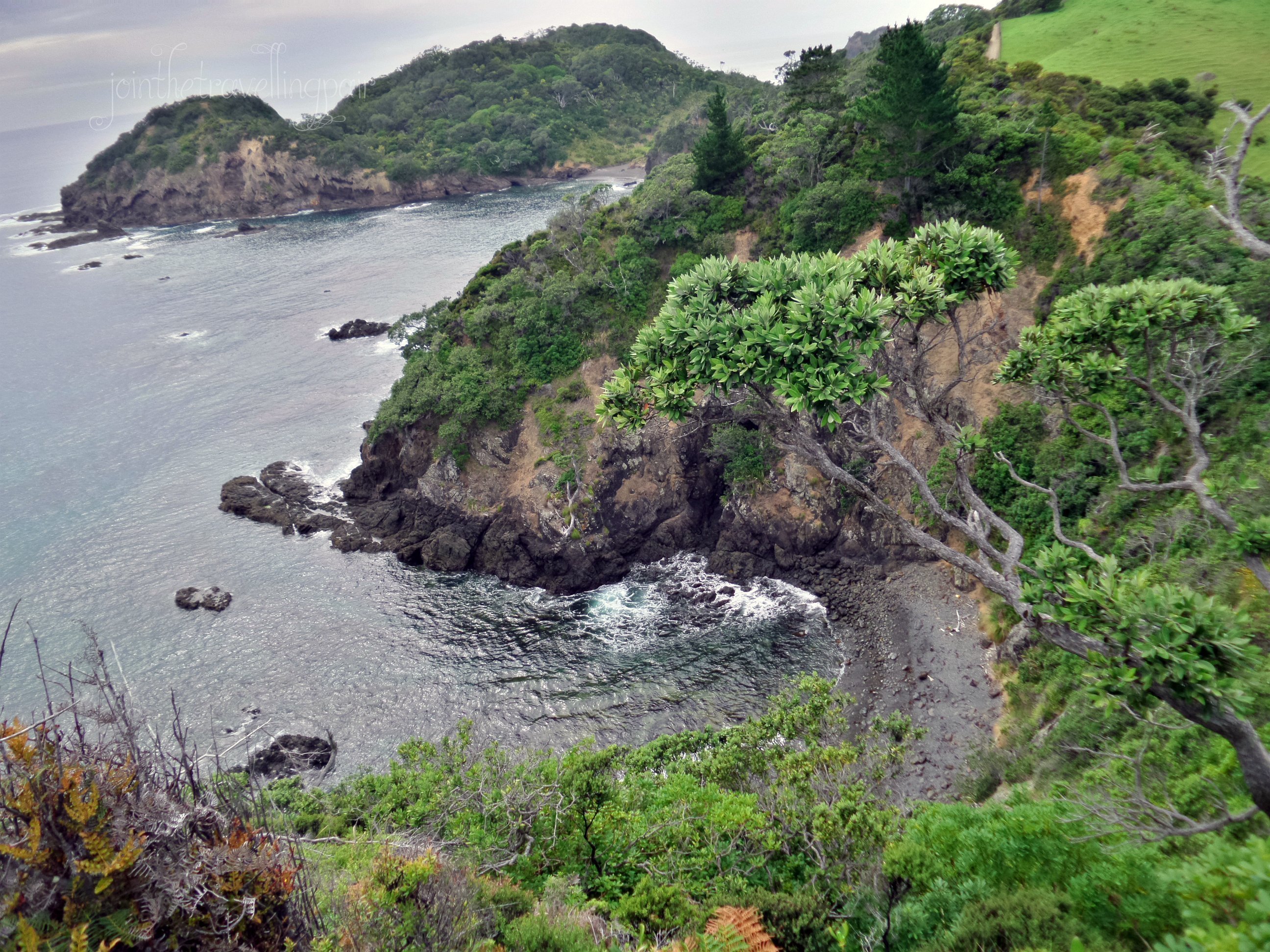 Tutukaka Coast, New Zealand