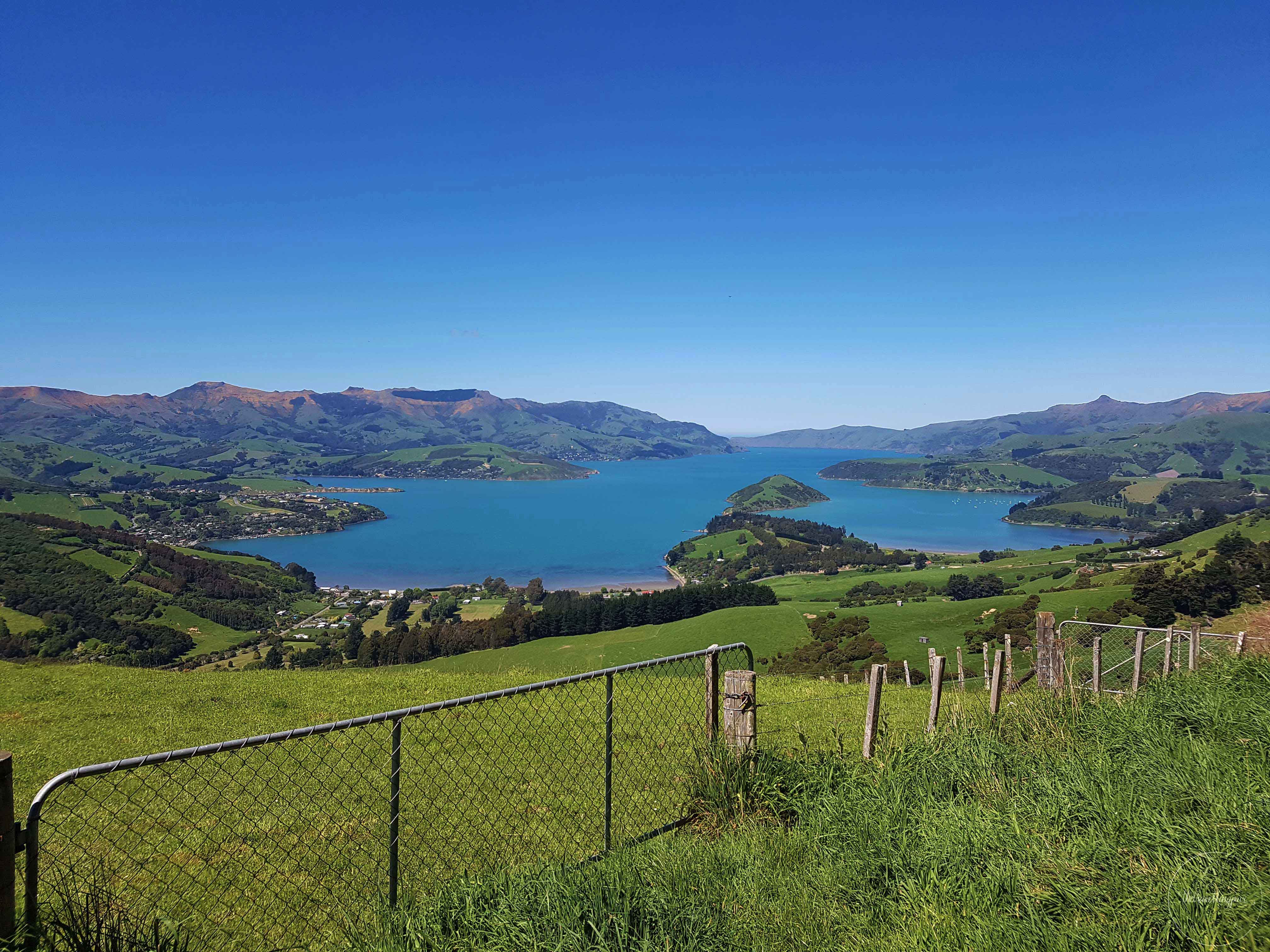 Akaroa-Small