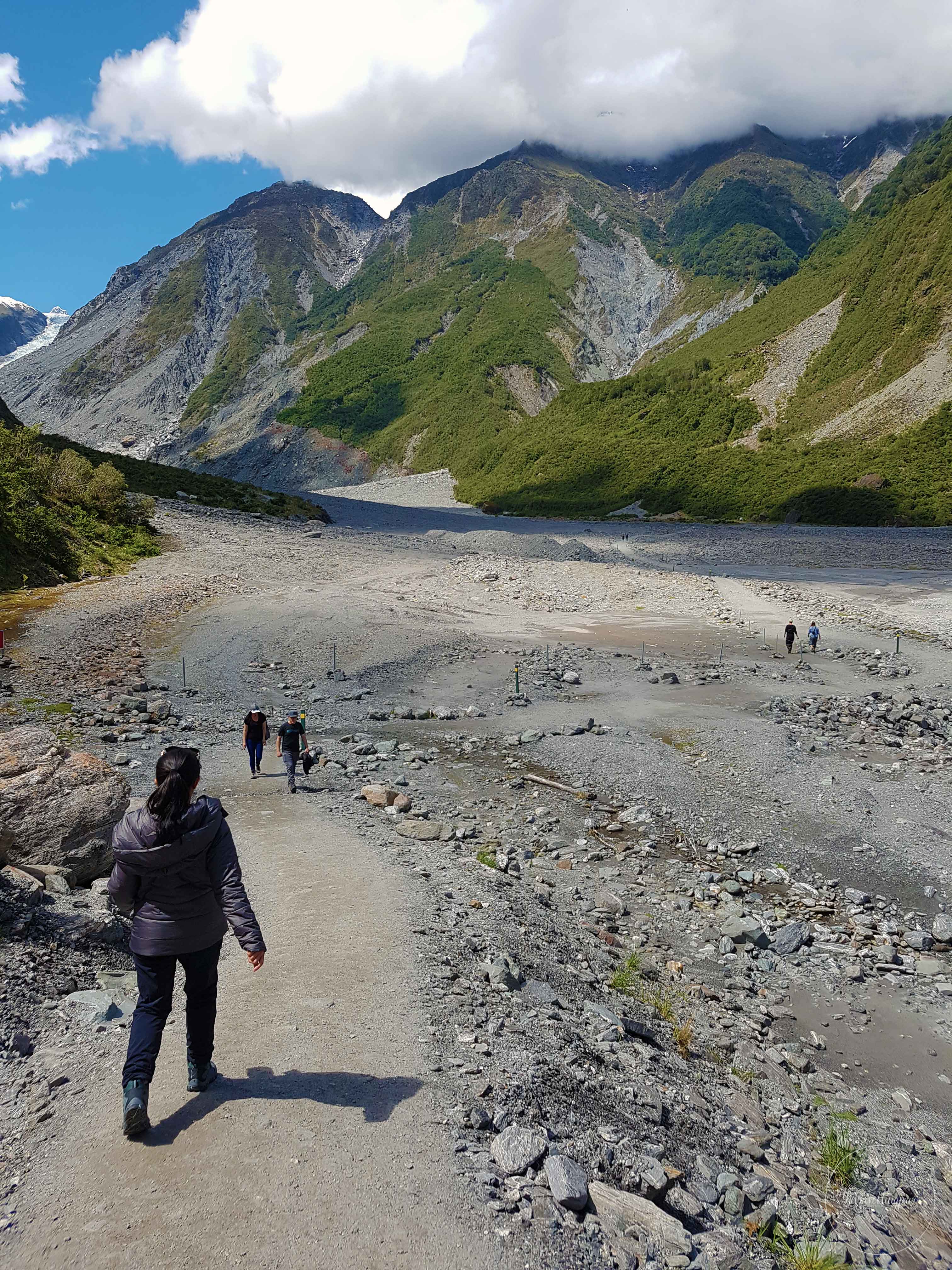 Fox-Glacier-Walk