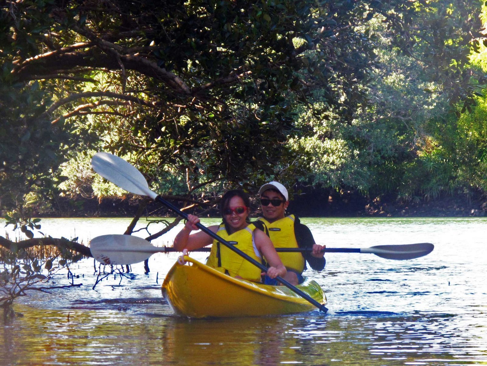 Kayaking-Paihia