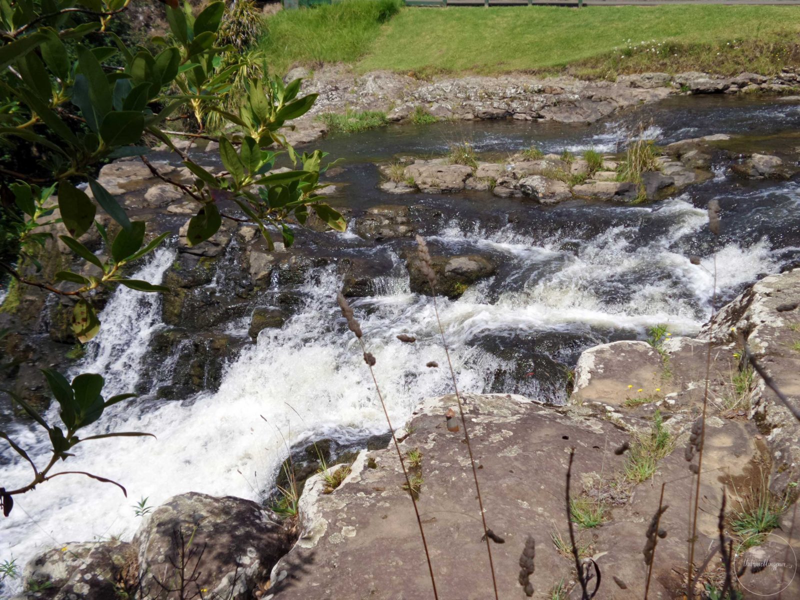 Whangarei-Falls