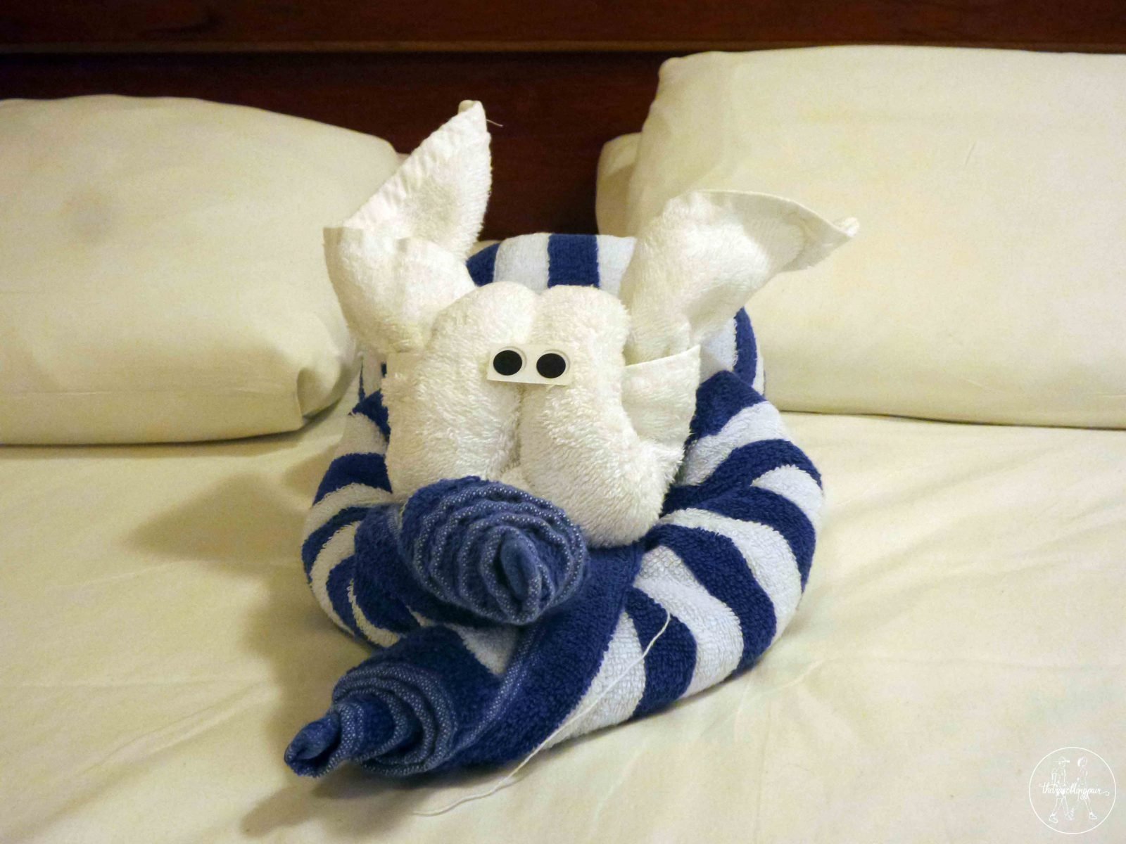 dog towel animal pacific jewel