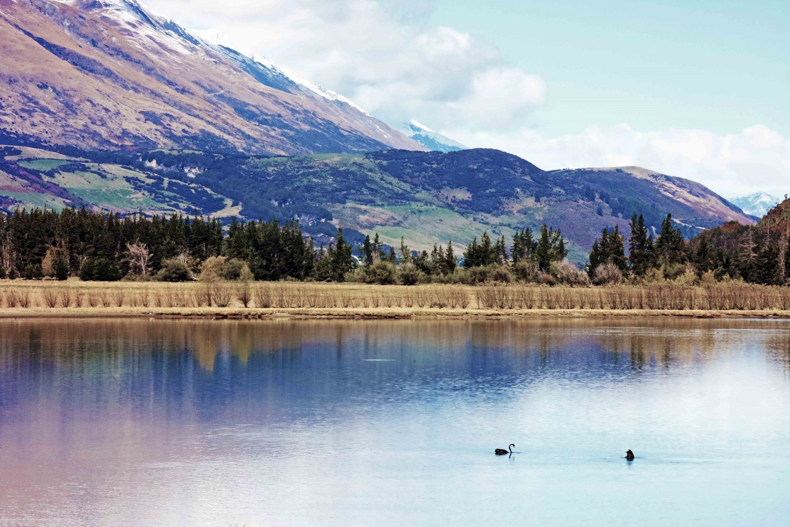 Diamond Lake Glenorchy