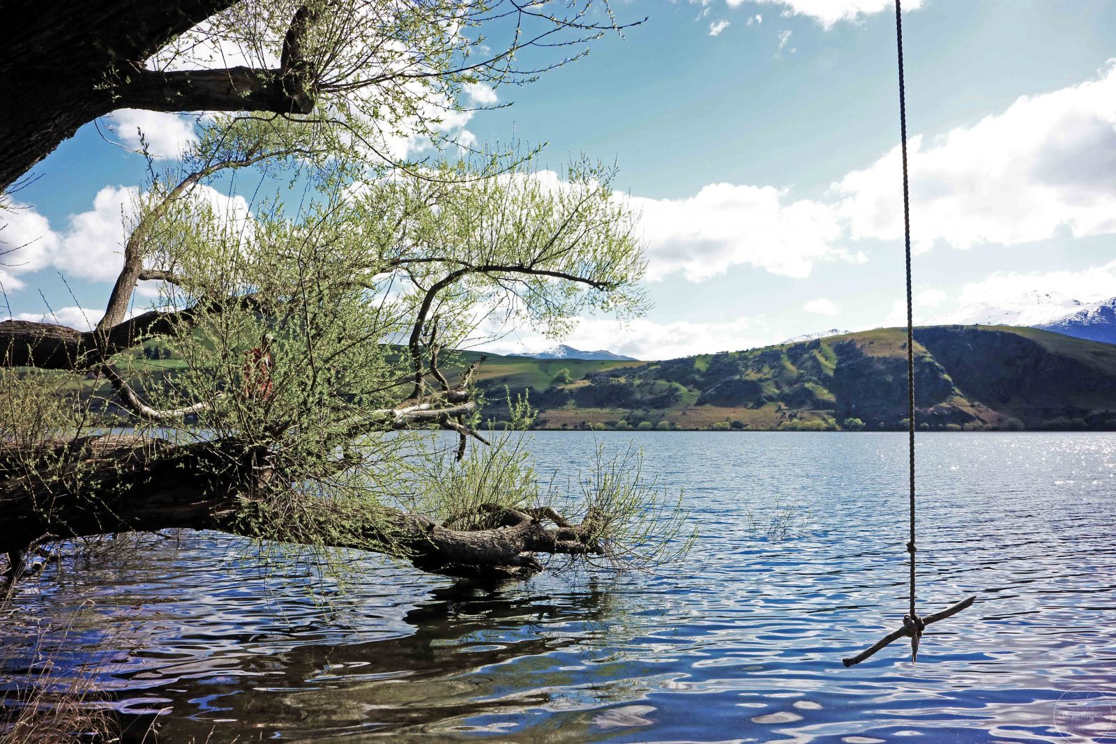 This is Lake Hayes New Zealand