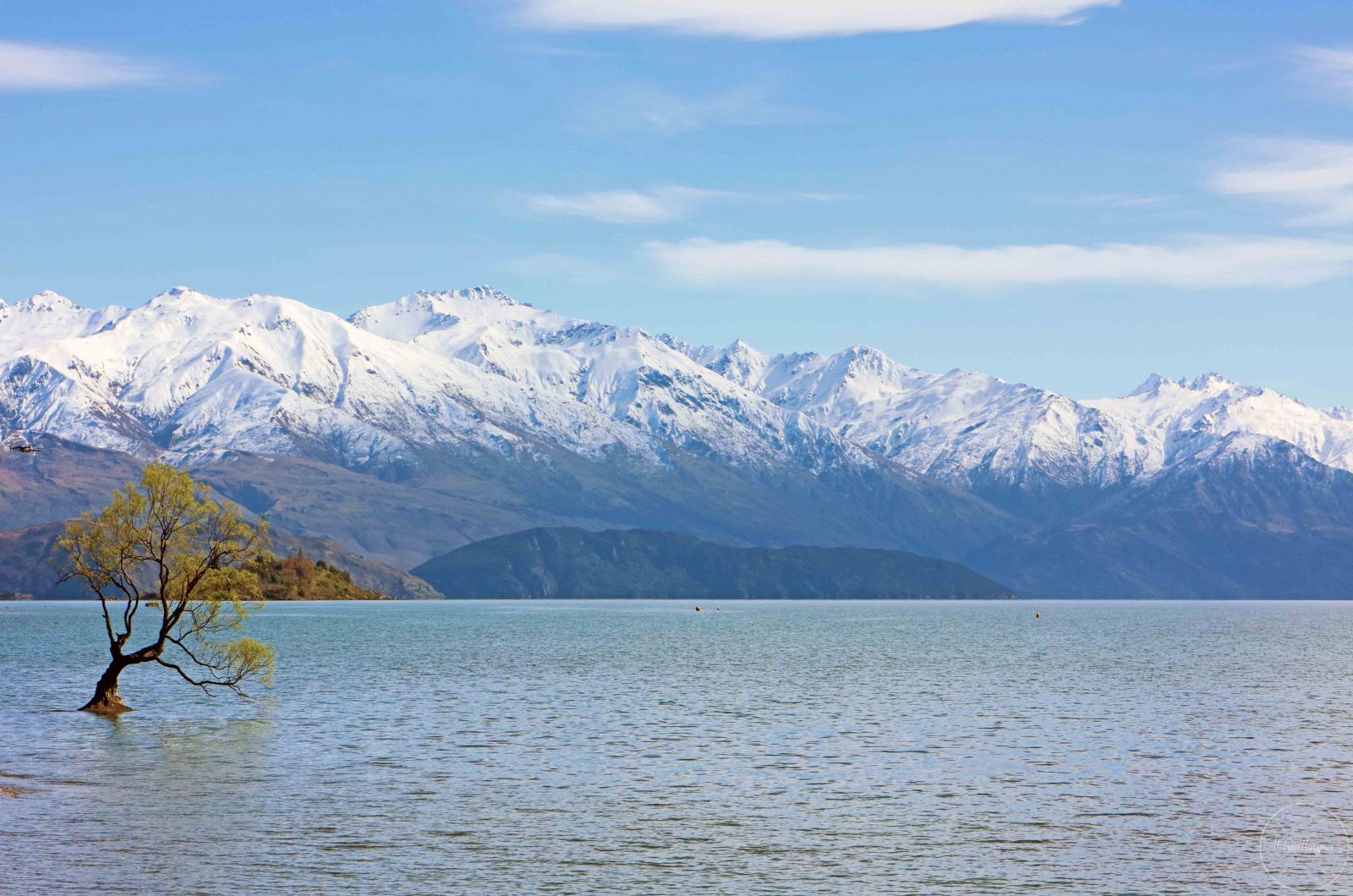 Lake-Wanaka-(3)