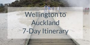 Wellington to Auckland 7-Day Itinerary