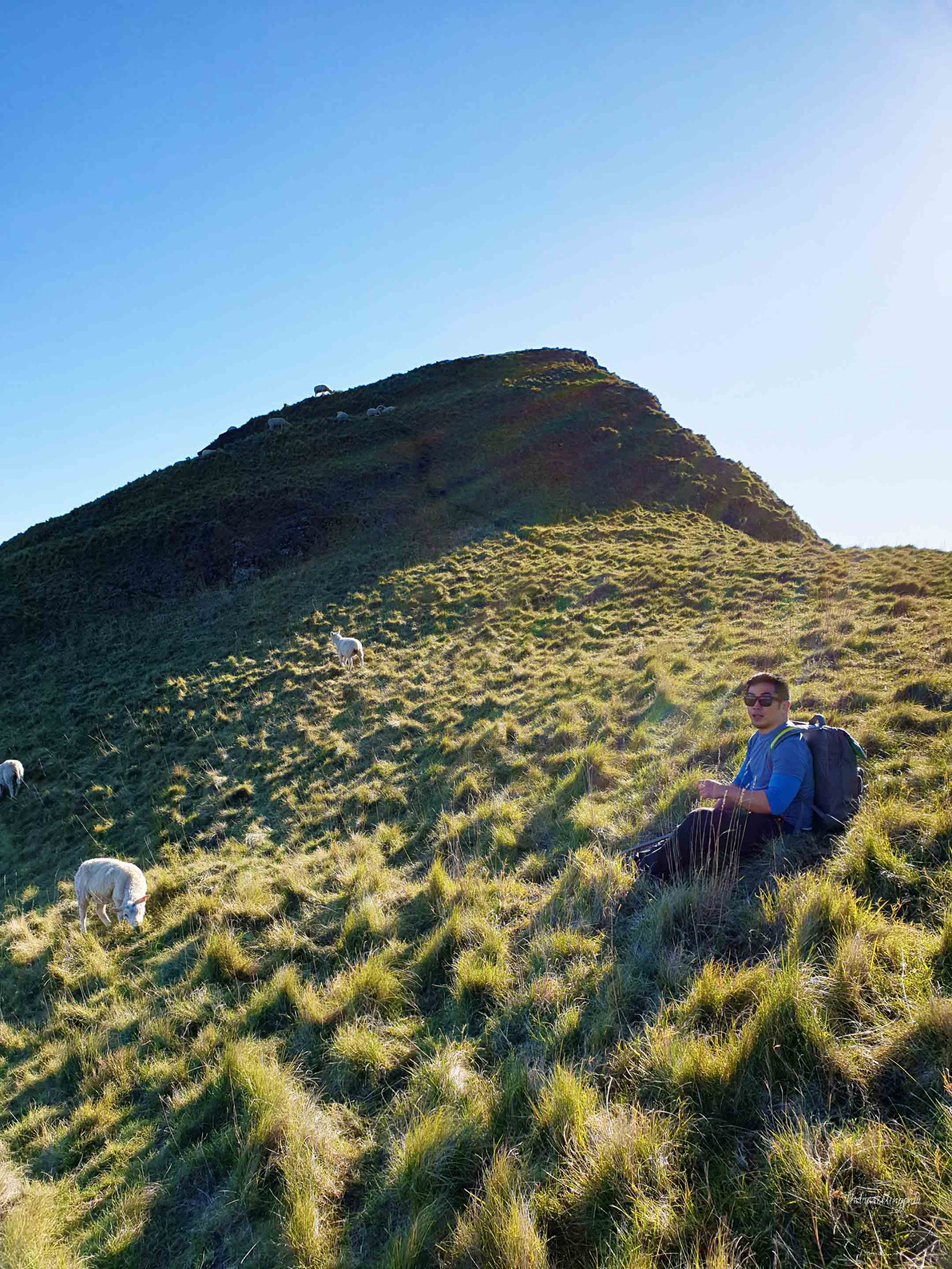 Te Mata Peak Hawke's Bay - Join the Travelling Pair